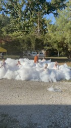 IMG 1524 1765672876 Foam Daddy